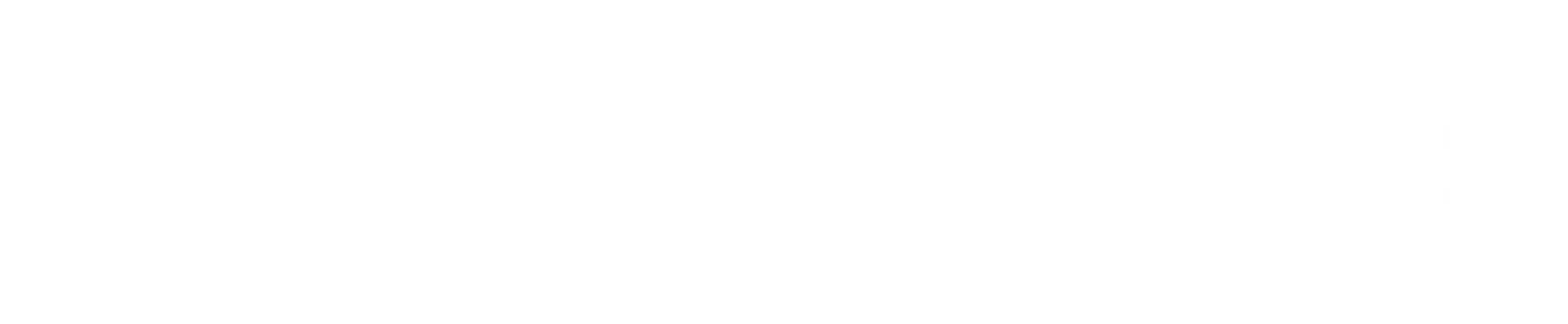 FitnestWork Logo